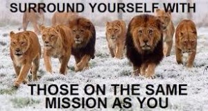 SurroundYourself_Lions